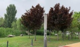 西安世博园爆料视频大全,全景揭秘精彩瞬间